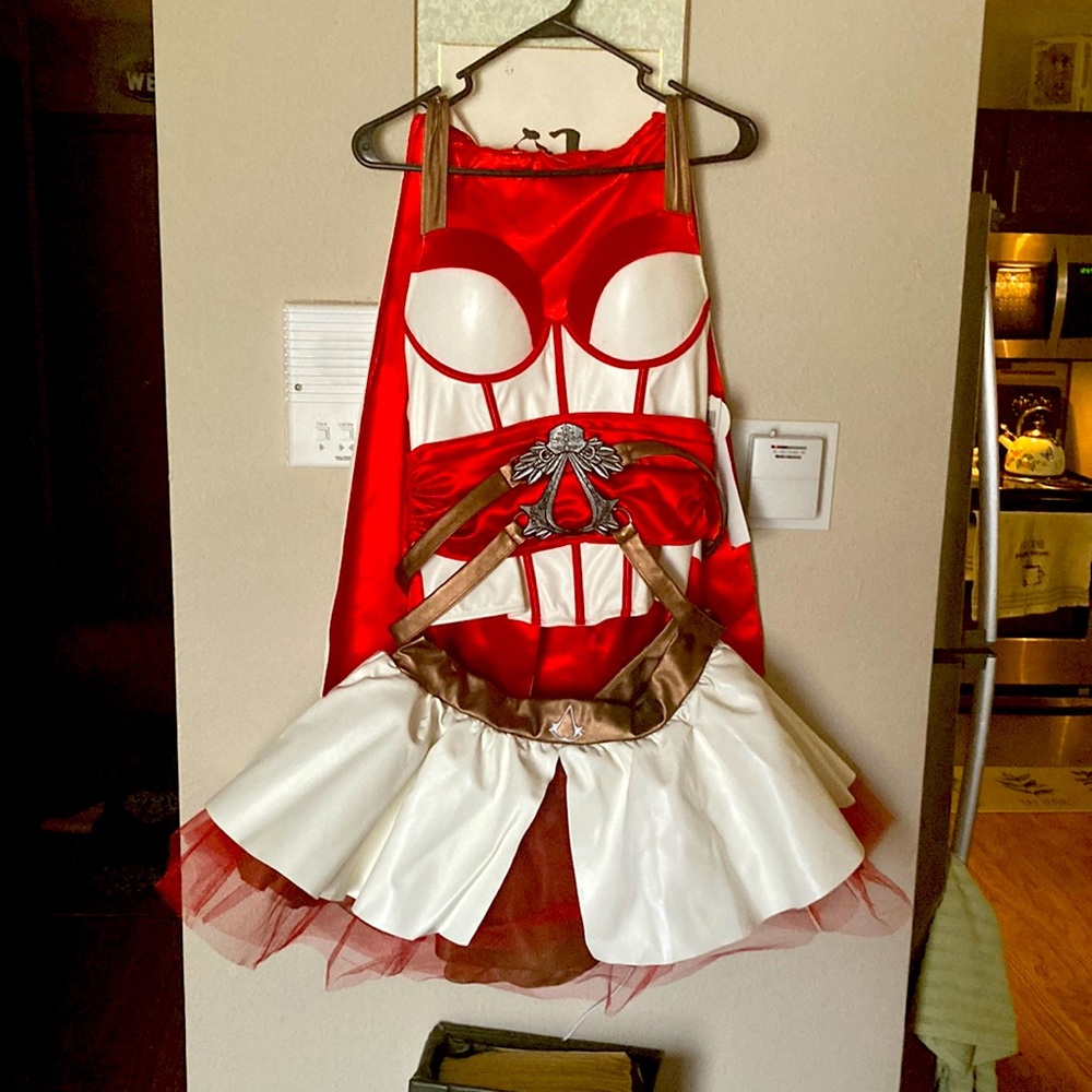 Assassins Creed Women’s Costume